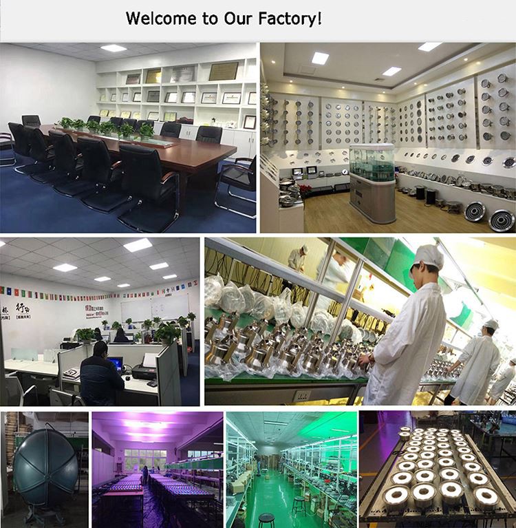 XYH purple pool light